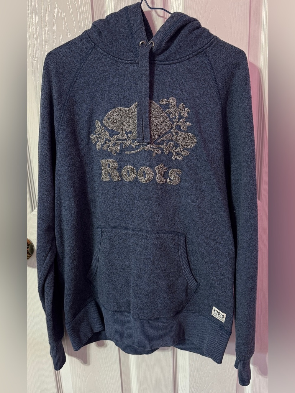 Roots Blue Hooded Sweater